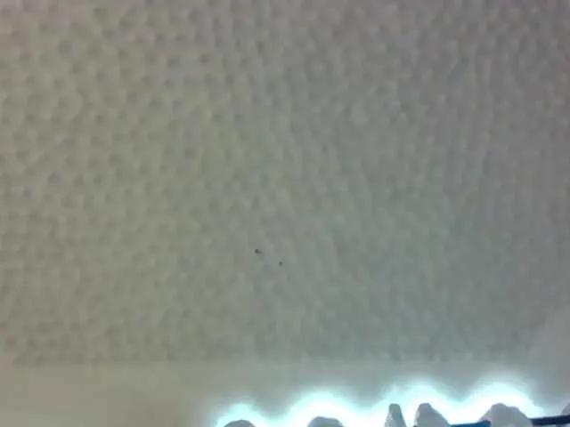 Offline Ladyonlady on BongaCams