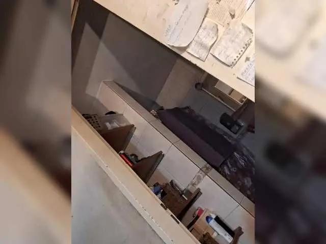 Leoncarpita — Follar