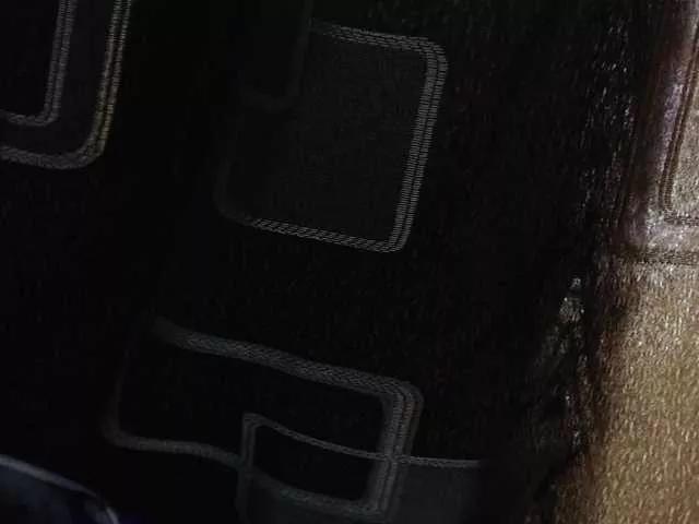 Offline paloma12 on BongaCams