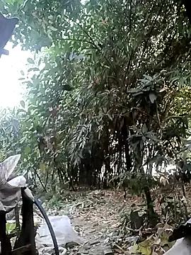 Hotty-rosni — Buy New lovenes lush