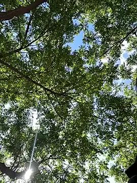 outdoors11 — Show cum and go out on the road naked