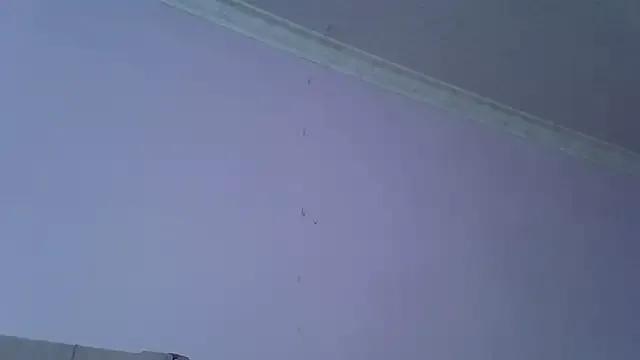 Freechat springbock56 on StripChat